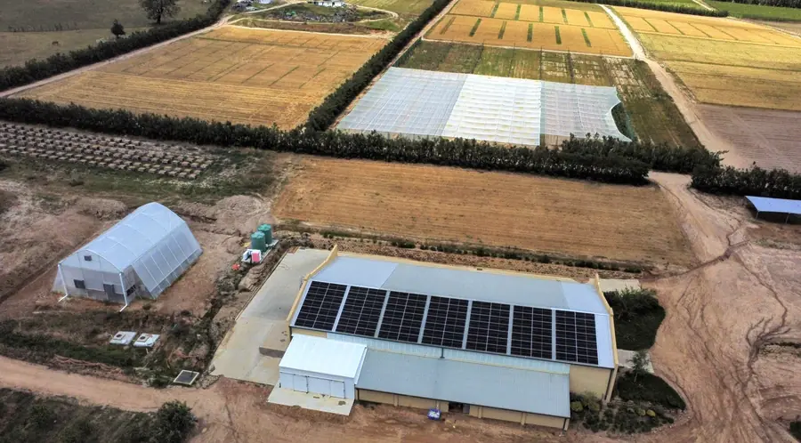 A farm shed with a solar roof between fields and tunnels