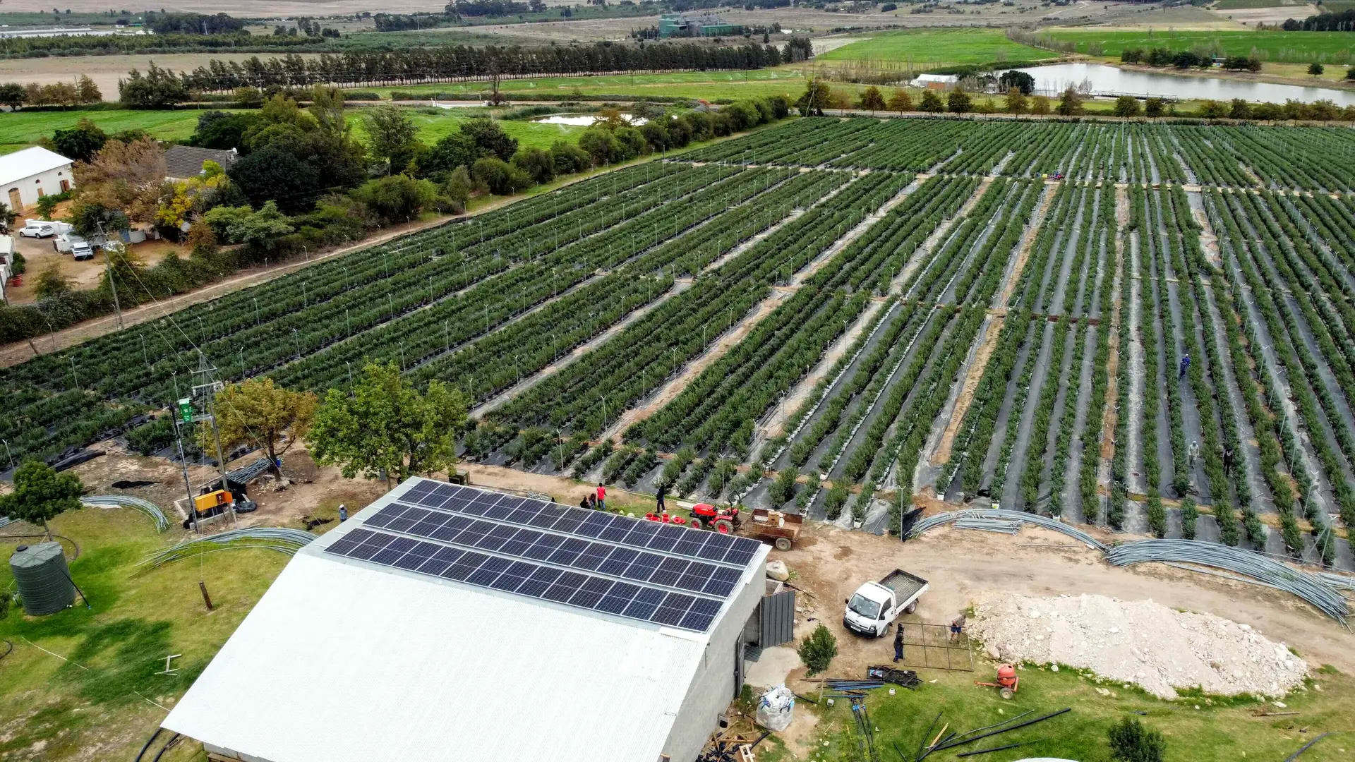 A packshed roof covered in panels between orchard rows