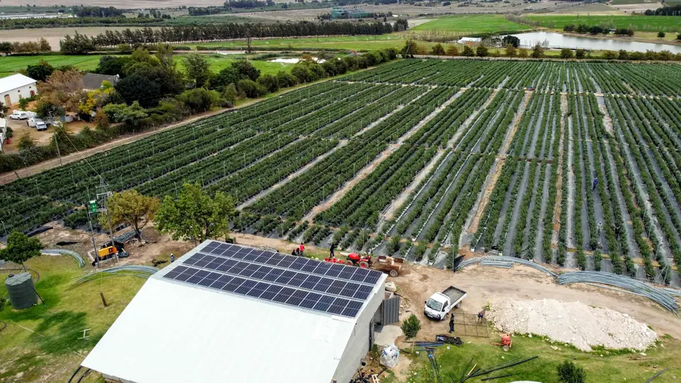 A packshed roof covered in panels between orchard rows